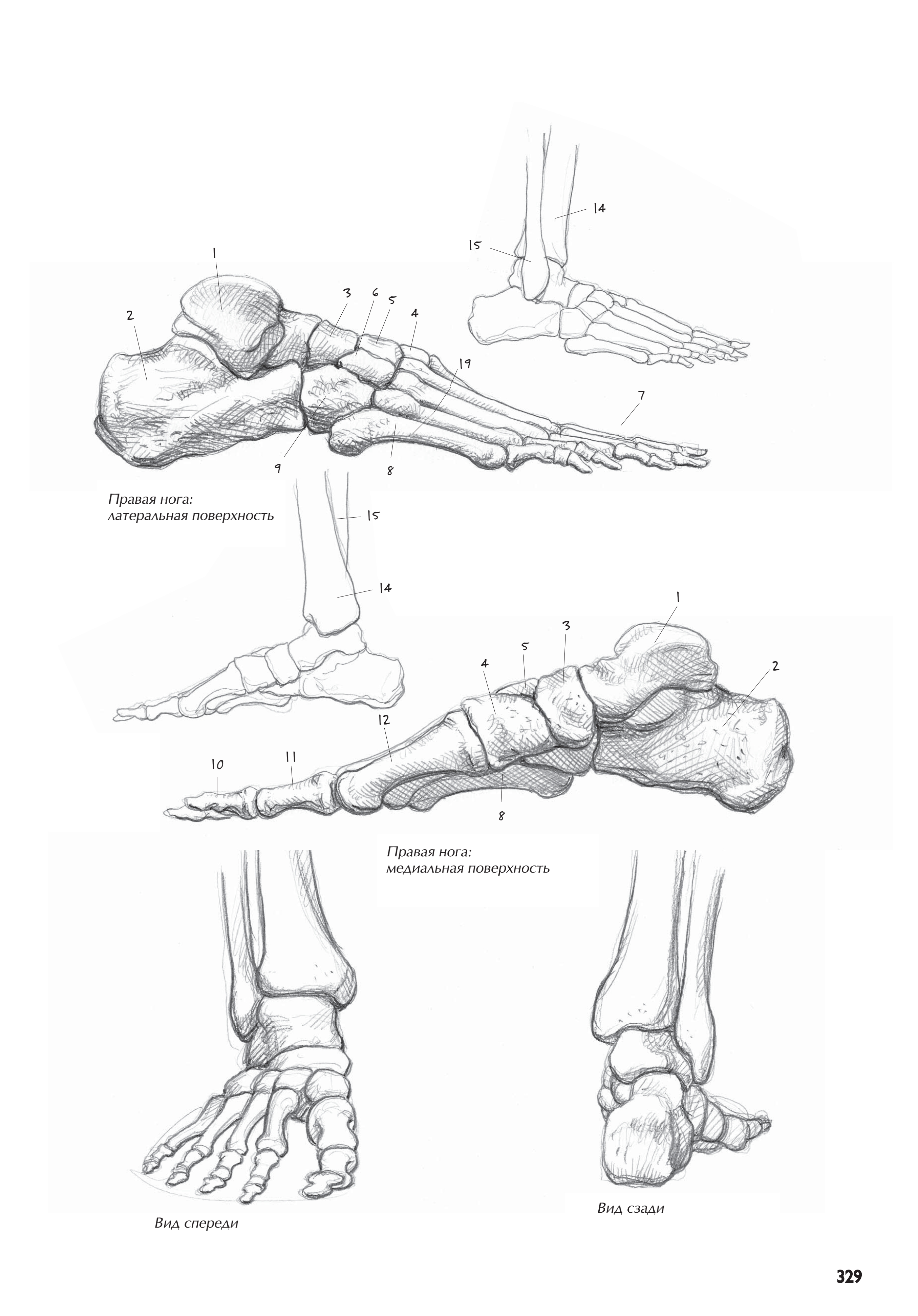 آموزش نقاشی طراحی سیاه قلم شهرری